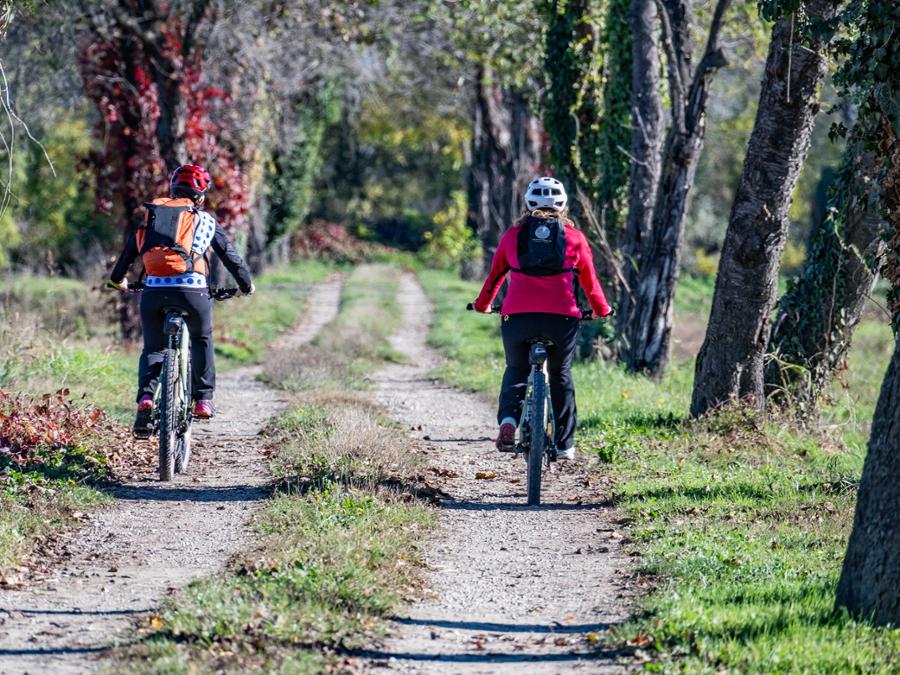 ROYAL COMMUNITY TOUR